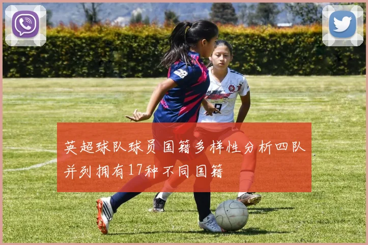 英超球队球员国籍多样性分析四队并列拥有17种不同国籍
